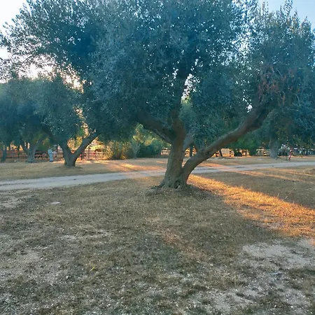 Campsite Masseria Monticchio *