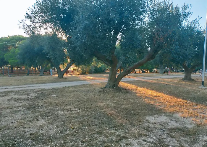 Campsite Masseria Monticchio *