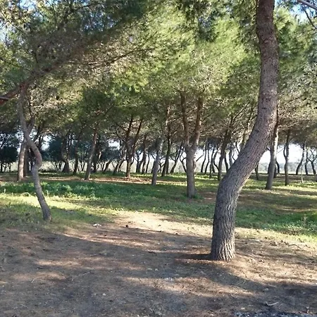 مكان تخييم Masseria Monticchio San Crispieri